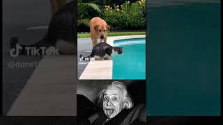 Famous This Didn’t Go As Expected 😂 #shorts #funny #fyp #viralclips #comedyreel #unexpected #trending 😄 Net Worth