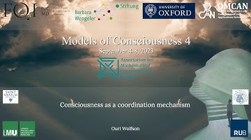 Ouri Wolfson - Consciousness as a coordination mechanism