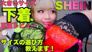 234.SHEIN |大きいサイズ|下着5選レビュー