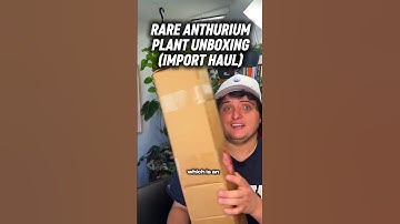 Unboxing Rare Anthuriums Imported from Ecuagenera 🌿 | Warocqueanum, Metallicum, Queremalense