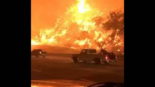 Canyon fire burns dangerously close to traffic along california
freeway