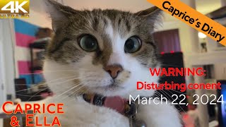 Caprices Diary - March 22, 2024 by Caprice & Ella 13 views 1 month ago 4 minutes, 8 seconds
