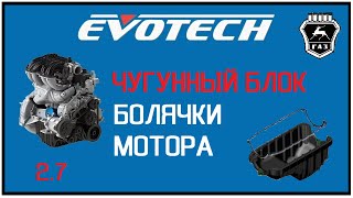 Evotech 2.7. Чугунный блок. Болячки мотора. (16 000 км, Газель бизнес. Часть-1)