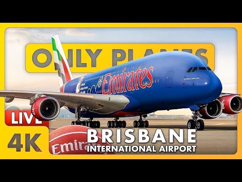 🔴 Sunday NIGHT Plane Spotting @ Brisbane Airport BNE w/ James & Matty + ATC 🏀