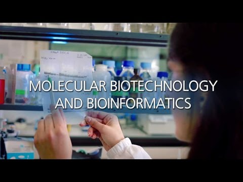 Which Is Better Bioinformatics Or Biotechnology