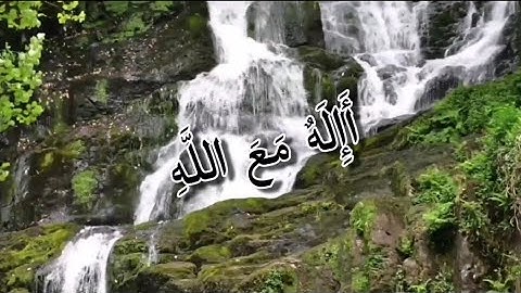 قرآن كريم بصوت القارئ: معاذ العيد {تلاوة خاشعة}