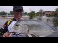 The ultimate confidence lure  360gt searchbait