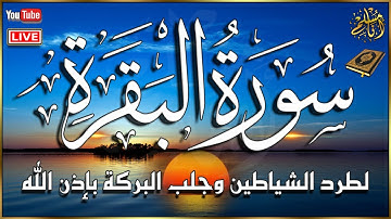 سورة البقرة كاملة لحفظ وتحصين المنزل وطرد الشياطين | تلاوة عذبة القارئ طارق محمد Surah Al Baqarah