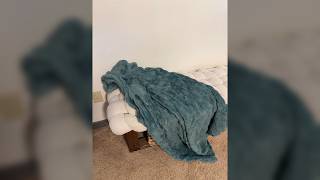 Full I am obsessed with this blanket News