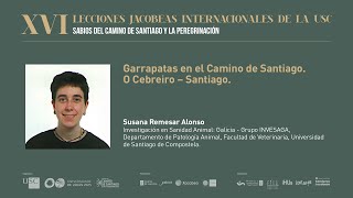 Susana Remesar: "Garrapatas en el Camino de Santiago (O Cebreiro – Santiago)."