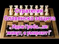 Стратегия. Славянская защита.  Гельфанд-Крамник.0-1 Берлин. 1996г. Шахматы