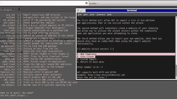 multi tabnabbing (SET)