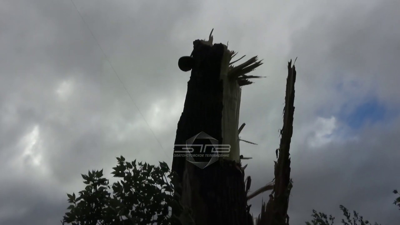 В Златоусте сильный ветер сломал деревья - YouTube