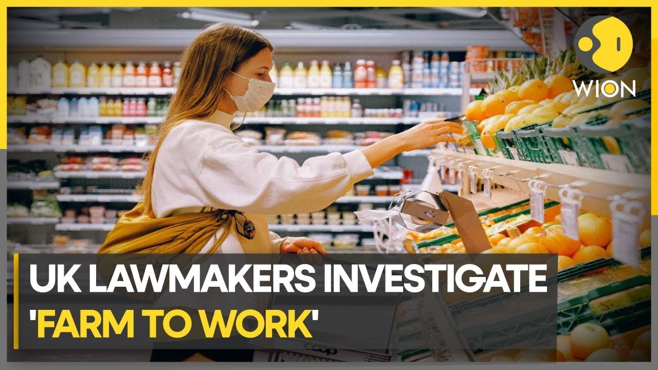 UK cost of living crisis: Lawmakers launch probe into the food ...