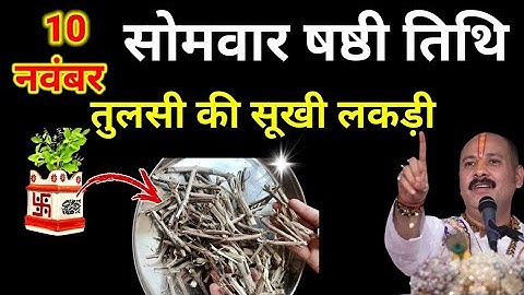 10 नवंबर सोमवार षष्ठी तिथि के दिन 5 तुलसी के पत्ते का उपाय जरूर करें || Pradeep Ji Mishra
