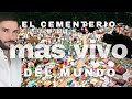 El MONSTRUO del LAGO ATITLÁN y el increíble cementerio de CHICHICASTENANGO