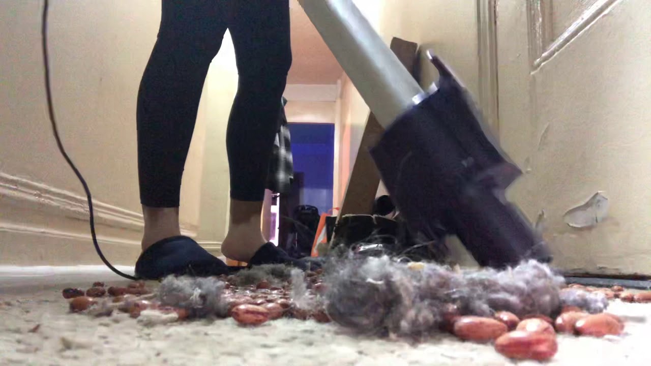 Quick Shark Fail Part Three - YouTube