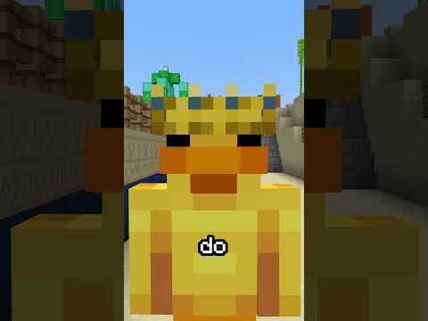 Rebellion Explained in Minecraft 🔨