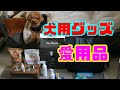 犬用グッズ愛用品大公開！！【ドッグフード】【ケア用品】【犬用リュック】