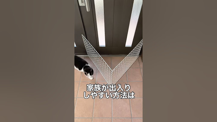 【猫の脱走防止対策】玄関、ベランダや庭に出る掃き出し窓 #Shorts