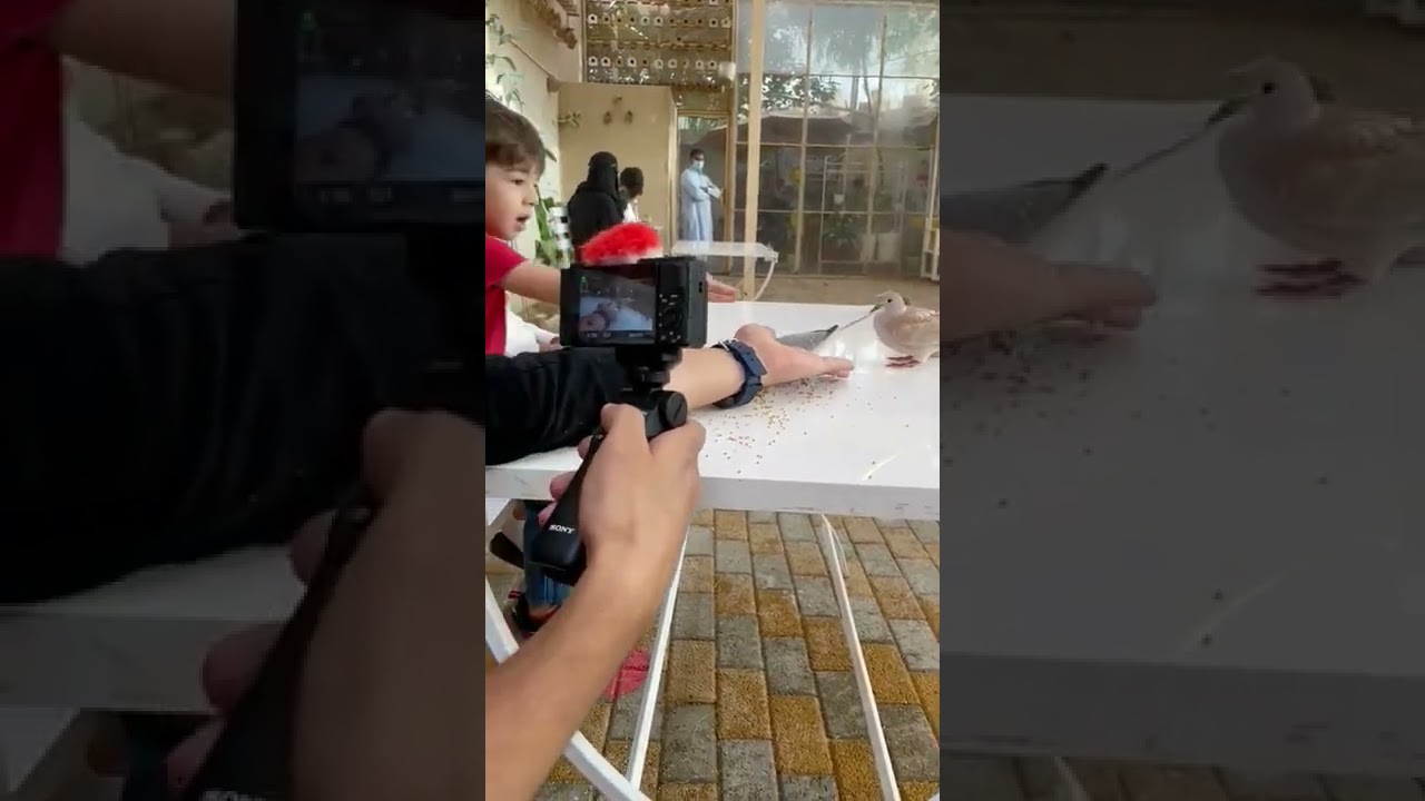 Kids love birds 🐦🐥🐤🤗