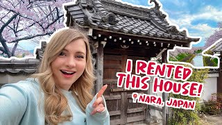 Day in my Life in Nara, Japan  Renting a House + BEST Sakura Spot!