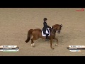 DJ dressage freestyle music mix