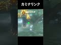 カミナリンク 【ゼルダの伝説 ティアーズオブザキングダム】