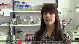 UCIBIO Highlights - Scientific Reports publication - Infection Biology Lab