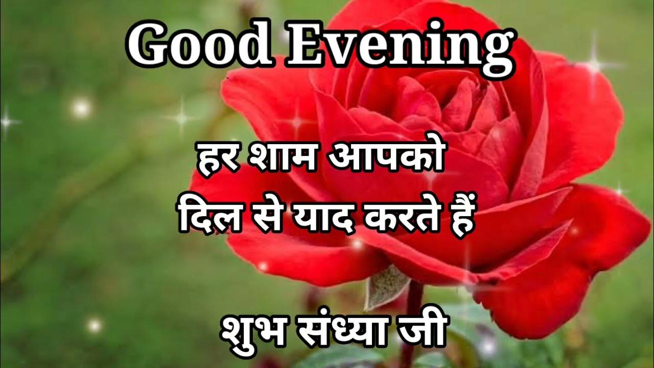 Good evening shayari good evening status good evening WhatsApp ...