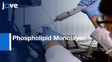 Fluorescence Recovery After Merging Droplet To Measure 2D Diffusion l Protocol Preview