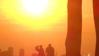 Dance, Don't Delay Twin Musicom