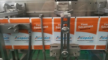 Doy pack with zipper packaging machine DS 180SZ