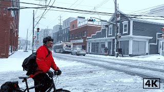 Relaxing Winter Snowfall in Halifax, Nova Scotia, Canada - Nature Sounds  | 4k