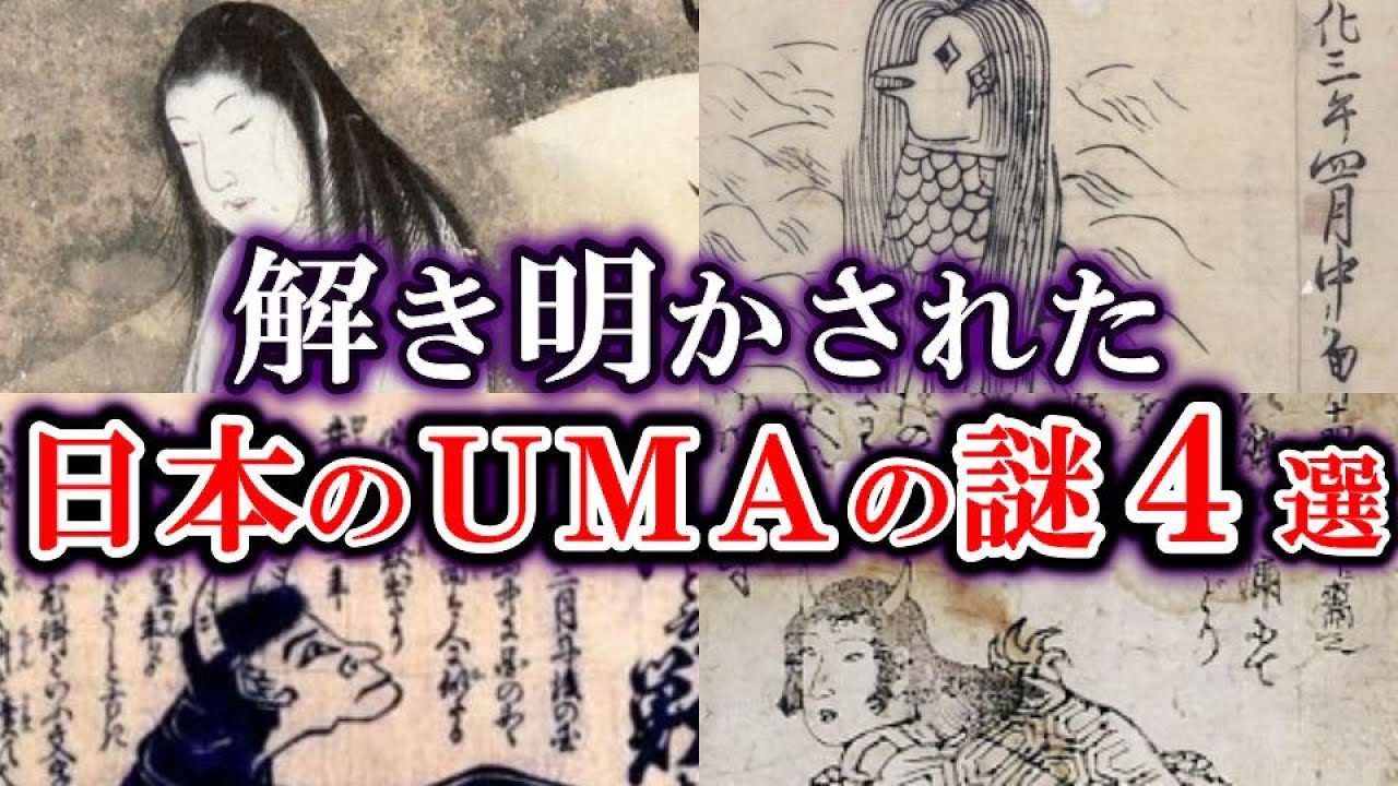【ゆっくり解説】正体が解明された？！日本のUMA・妖怪の謎４選