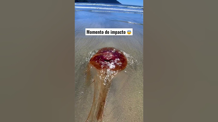 Os CNIDÓCITOS das águas vivas podem “queimar” mesmo na areia. #bio  #jellyfish