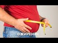 Метод исследования: ожирение