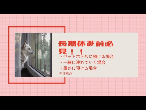 長期休み前必見 ペットホテルに預ける場合 一緒に連れていく場合 誰かに預ける場合の注意点 Youtube 長期休み前必見 ペットホテルに預ける場合 一緒に連れていく場合 誰かに預ける場合の注意点 Youtube