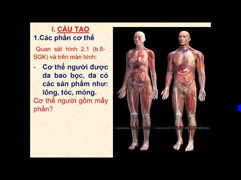 Mở đầu và cấu tạo cơ thể người - Sinh học - K8 - 2021 - 2022