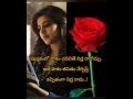 #samantha #samantharuthprabhu #love #fanmoment #shortvideo #viral #short #trending #couplegoal #yt