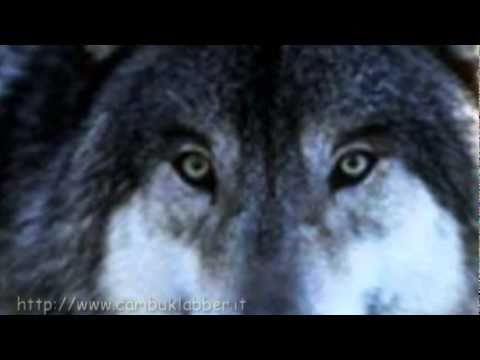 Wolf Song (celtic Version) by Celtic Woman-Indiani Americani-lupi