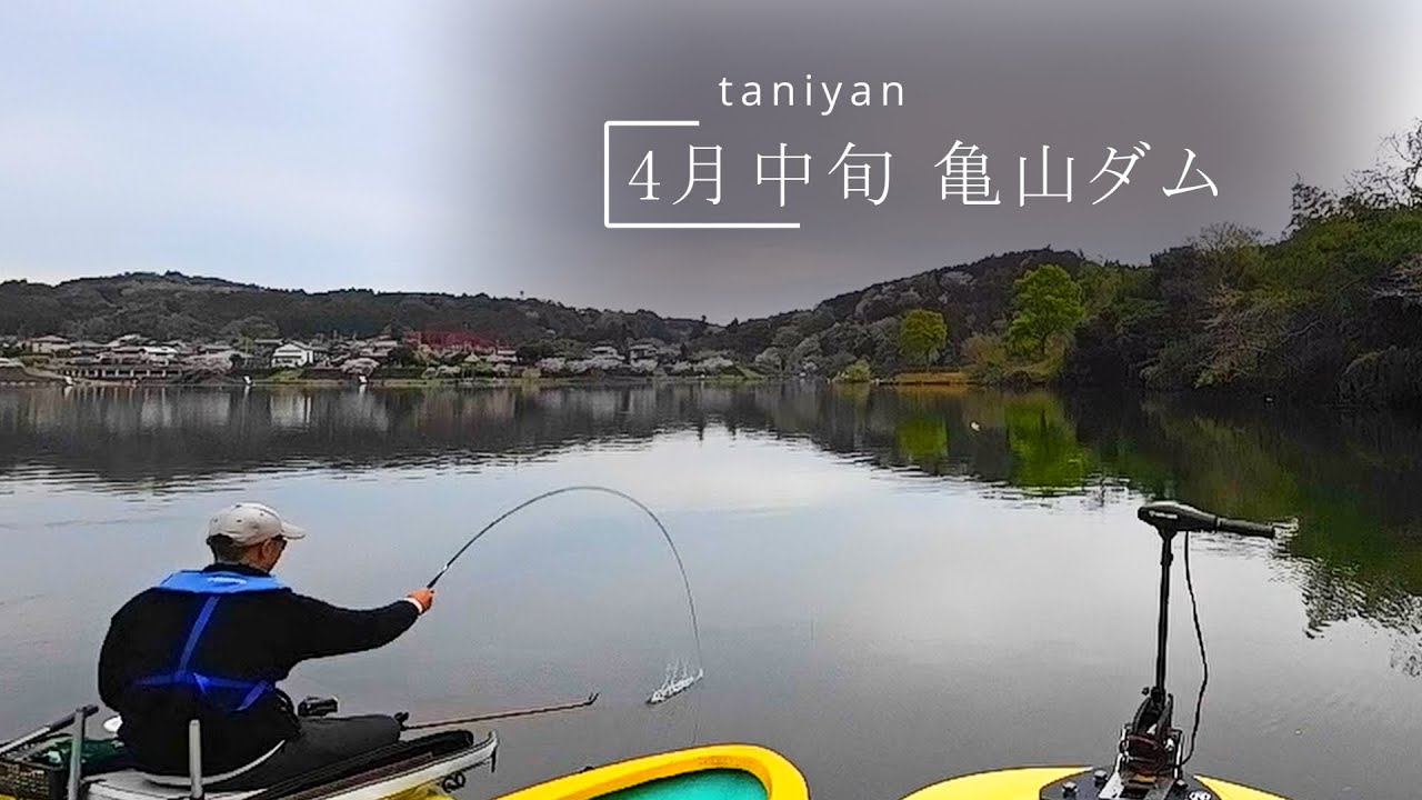 4月中旬 亀山ダム 水産センター桟橋