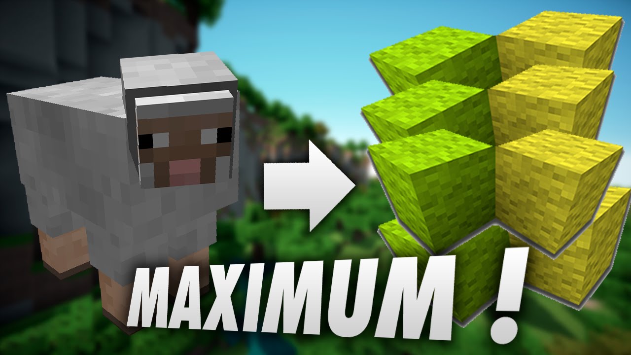 Minecraft PS3, PS4, Xbox - AVOIR LE MAXIMUM DE LAINE D'UN MOUTON ! |FR