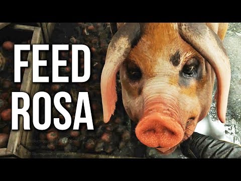 How to Feed Rosa the Pig in Wolfenstein 2