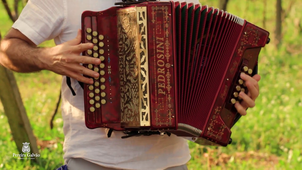Corridinho Algarvio - Concertina