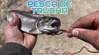 Un Día De Pesca: ¿Cómo Lo Pesqué?