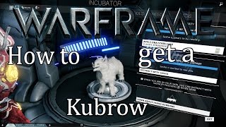 Warframe Tutorial - How to get a Kubrow