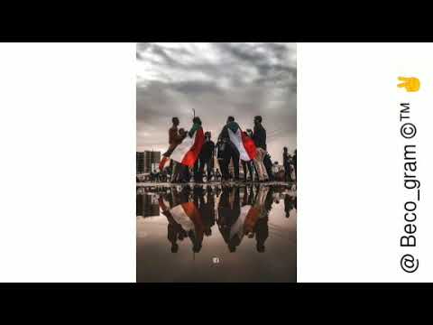 الكابلي قمر دورين