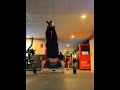 Girl Copied His Moves 😳 | Calisthenics Aura 🗿