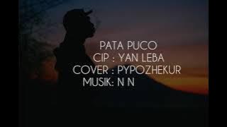 PATA PUCO (TRIO LEBA) cover Pypozhekur